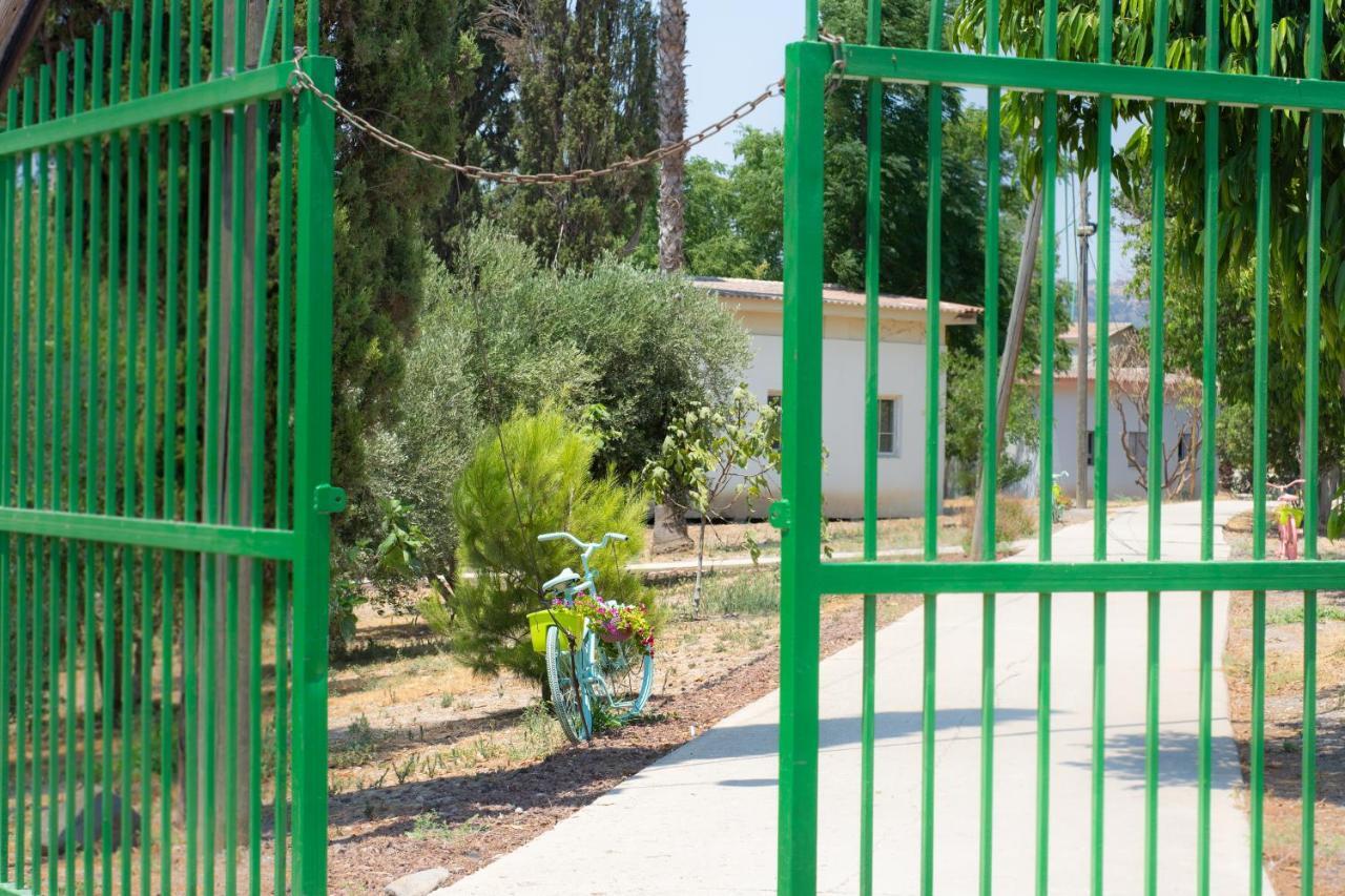 Aliyah Return Center Bed and Breakfast Degania Bet Exterior foto